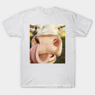 Portrait Of Cow Cute Funny Cow Gift T-Shirt